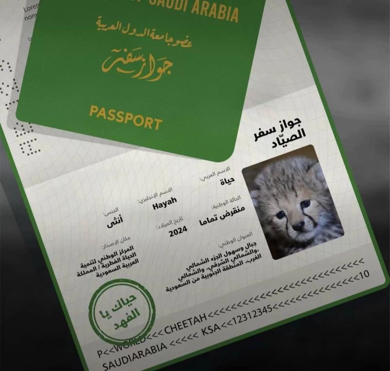 Embassy Appointment for Student Visa 2025 Pakistan